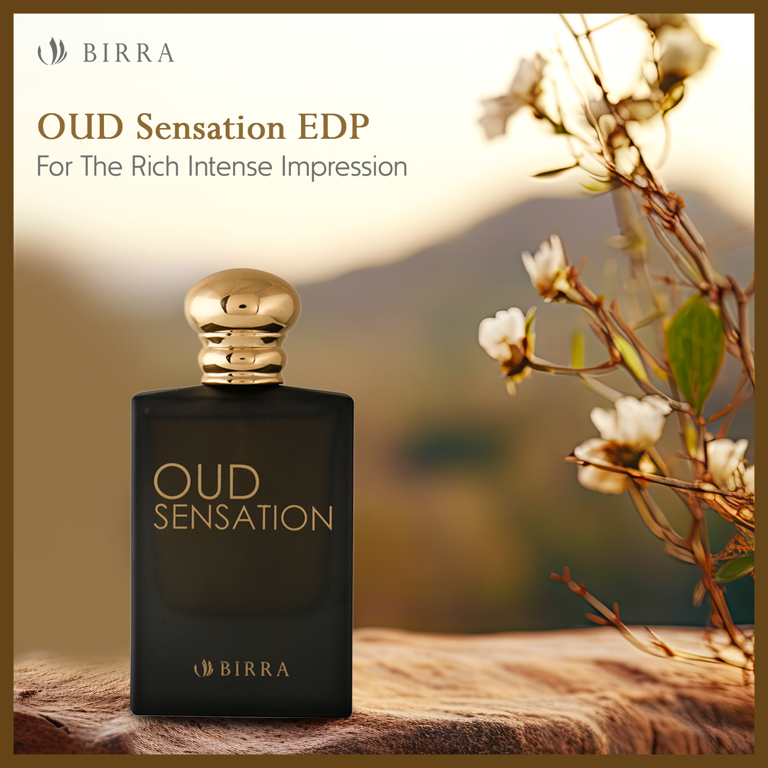 Oud Sensation EDP 50ml- Premium Perfume